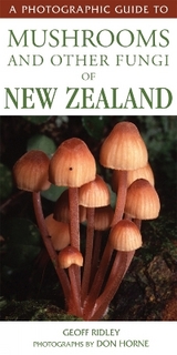 Photographic Guide to Mushrooms & Other Fungi - 