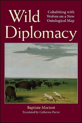 Wild Diplomacy -  MORIZOT