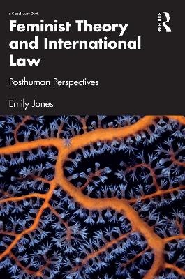 Feminist Theory and International Law - Emily Jones