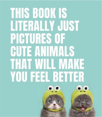 This Book Is Literally Just Pictures of Cute Animals That Will Make You Feel Better -  Smith Street Books