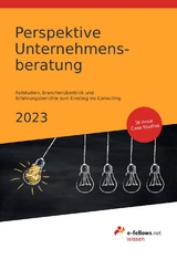 Perspektive Unternehmensberatung 2023 - Hies, Michael; Fritz, Thomas