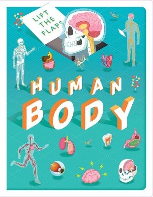 Lift The Flaps: Human Body -  Autumn Publishing,  Igloo Books