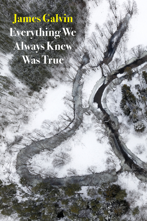 Everything We Always Knew Was True -  James Galvin