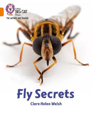 Fly Secrets - Clare Helen Welsh