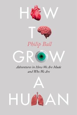 How to Grow a Human - Philip Ball