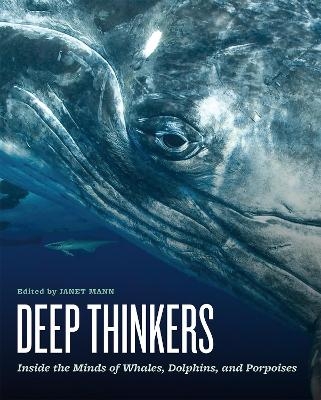 Deep Thinkers - 