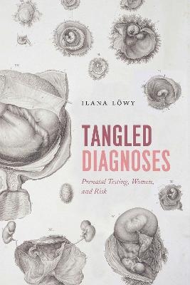 Tangled Diagnoses - Ilana Lowy