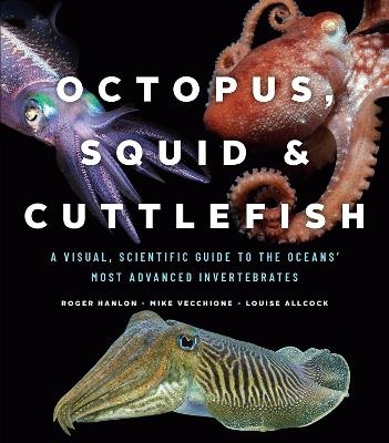 Octopus, Squid, and Cuttlefish - Roger Hanlon, Mike Vecchione, Louise Allcock