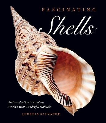 Fascinating Shells - Andreia Salvador