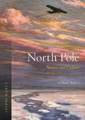 North Pole - Michael Bravo