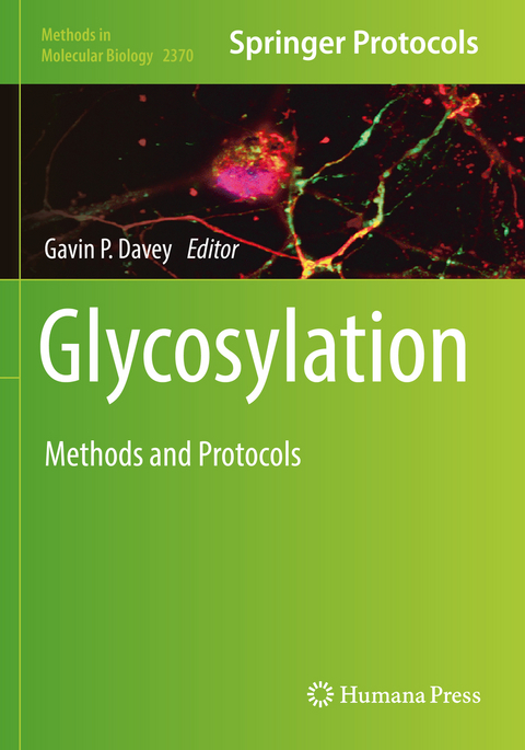 Glycosylation - 