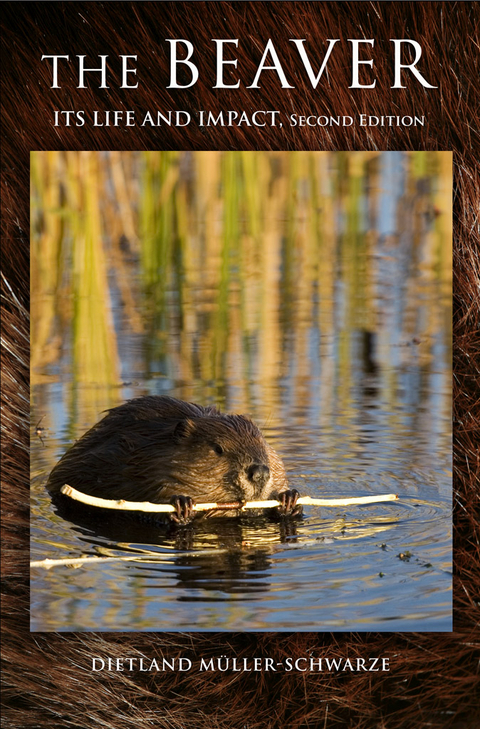 The Beaver - Dietland Müller-Schwarze