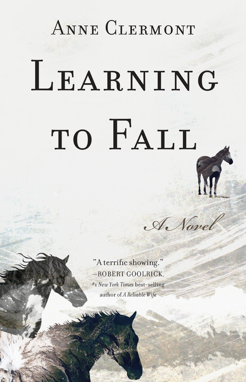 Learning to Fall -  Anne Clermont