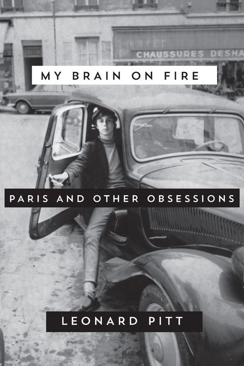 My Brain on Fire -  Leonard Pitt