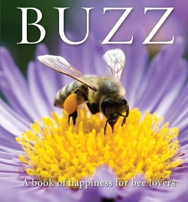 Buzz - Adam Langstroth