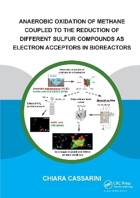 Anaerobic Oxidation of Methane Coupled to the Reduction of Different Sulfur Compounds as Electron Acceptors in Bioreactors - Chiara Cassarini