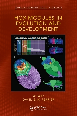 Hox Modules in Evolution and Development - 