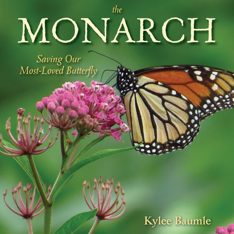 Monarch -  Kylee Baumle