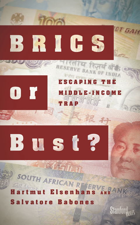 BRICS or Bust? -  Salvatore Babones,  Hartmut Elsenhans