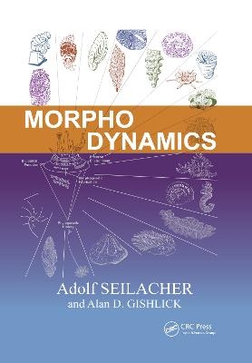 Morphodynamics - Adolf Seilacher, Alan D. Gishlick