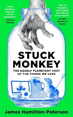 Stuck Monkey - James Hamilton-Paterson