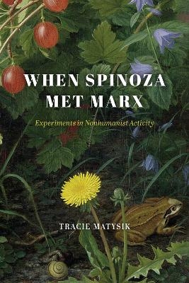 When Spinoza Met Marx - Tracie Matysik