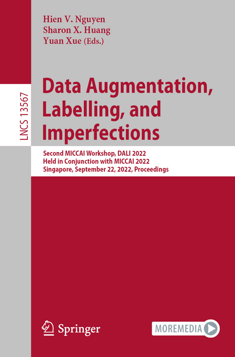 Data Augmentation, Labelling, and Imperfections - 