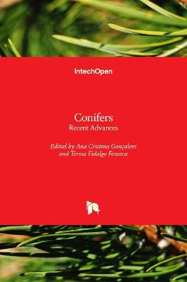 Conifers - 