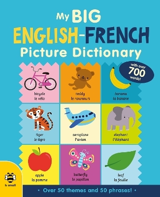 My Big English-French Picture Dictionary - Catherine Bruzzone, Vicky Barker, Marie-Thérèse Bougard