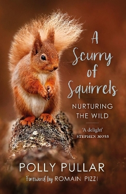 A Scurry of Squirrels - Polly Pullar