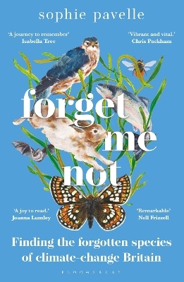 Forget Me Not - Sophie Pavelle