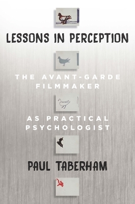 Lessons in Perception - Paul Taberham