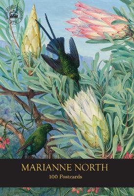 Marianne North 100 Postcards -  RBG Kew