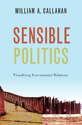 Sensible Politics - William A. Callahan