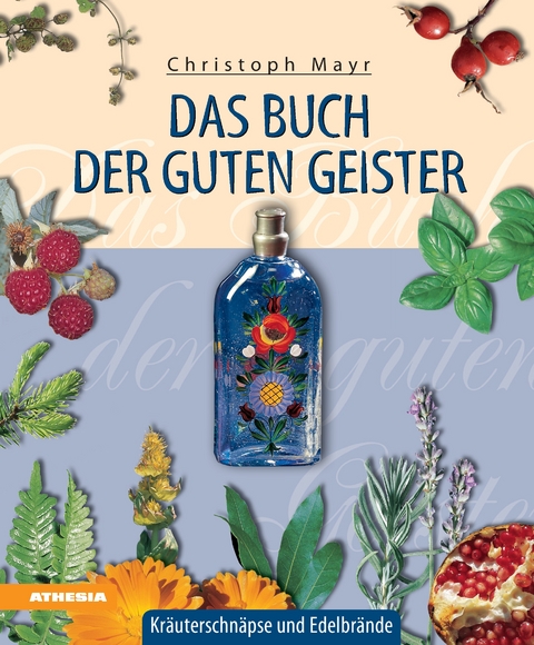 Das Buch der guten Geister - Christoph Mayr