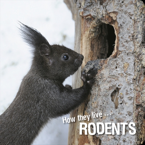 How they live... Rodents - David Withrington, Ivan Esenko