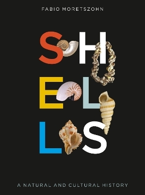 Shells - Fabio Moretzsohn