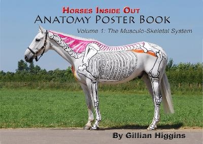 The Horses Inside Out Anatomy Poster Book - Gillian Higgins