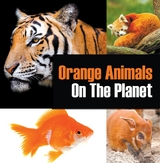 Orange Animals On The Planet -  Baby Professor