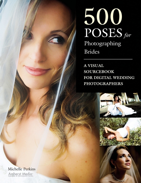 500 Poses for Photographing Brides -  Michelle Perkins