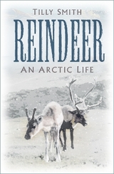 Reindeer - Smith, Tilly