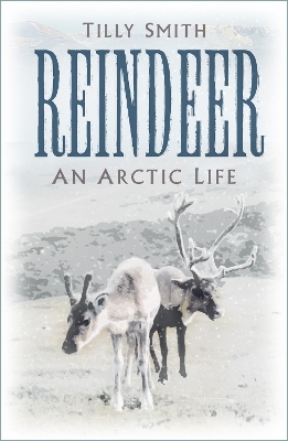 Reindeer - Tilly Smith