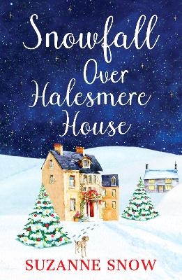 Snowfall Over Halesmere House - Suzanne Snow