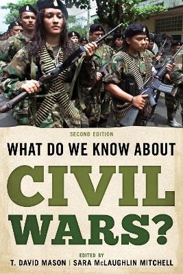 What Do We Know about Civil Wars? - 