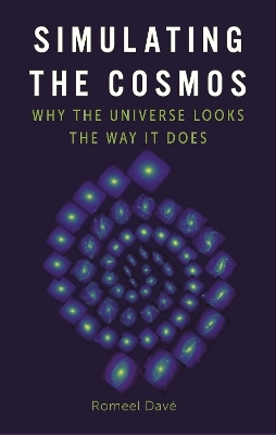 Simulating the Cosmos - Romeel Davé