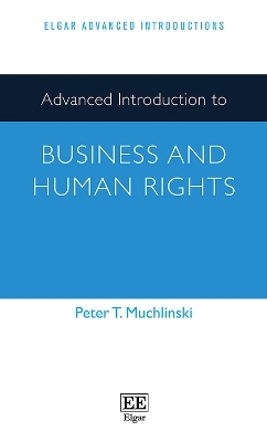 Advanced Introduction to Business and Human Rights - Peter T. Muchlinski