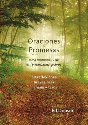 Oraciones y promesas Softcover Prayers and Promises When Facing a Life-Threatening Illness - Edward G Dobson