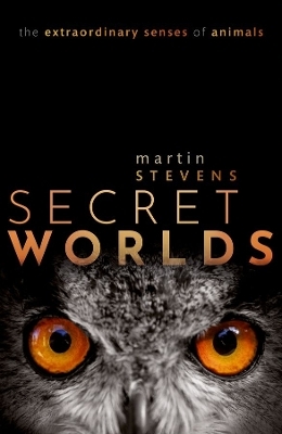 Secret Worlds - Martin Stevens