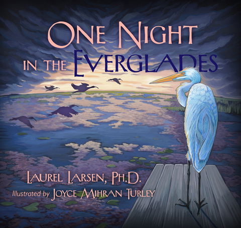 One Night in the Everglades -  Laurel Larsen