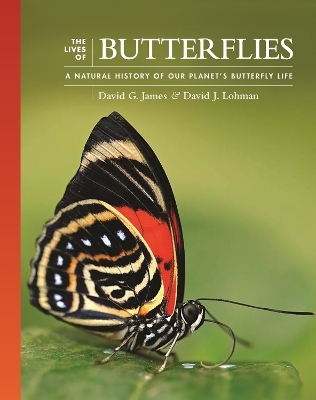 The Lives of Butterflies - David G. James, Dr David J. Lohman